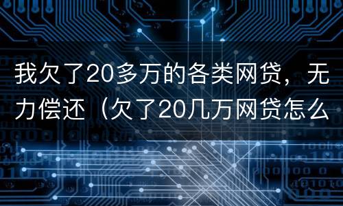 我欠了20多万的各类网贷，无力偿还（欠了20几万网贷怎么办）