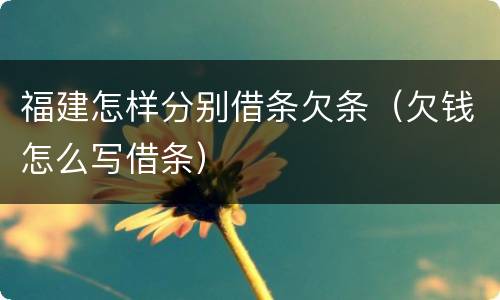 福建怎样分别借条欠条（欠钱怎么写借条）