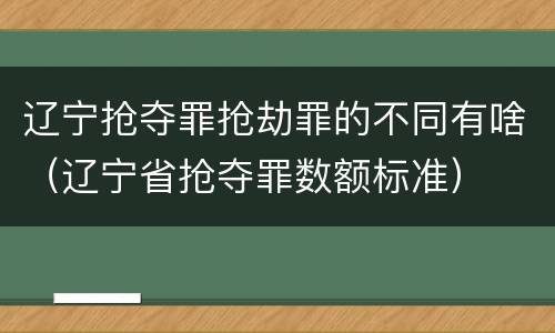 辽宁抢夺罪抢劫罪的不同有啥（辽宁省抢夺罪数额标准）