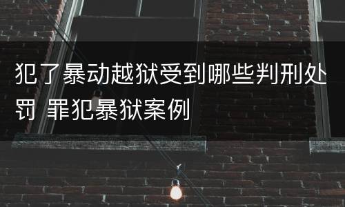 犯了暴动越狱受到哪些判刑处罚 罪犯暴狱案例