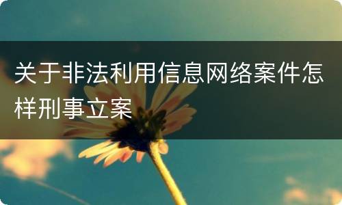 关于非法利用信息网络案件怎样刑事立案