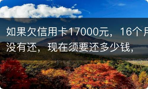 如果欠信用卡17000元，16个月没有还，现在须要还多少钱，