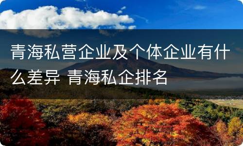 青海私营企业及个体企业有什么差异 青海私企排名