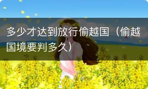 多少才达到放行偷越国（偷越国境要判多久）