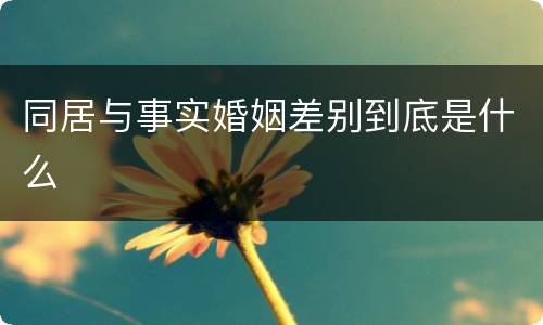 同居与事实婚姻差别到底是什么