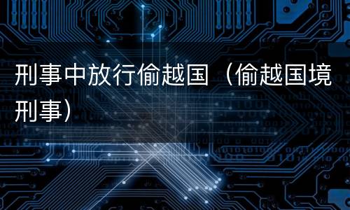 刑事中放行偷越国（偷越国境刑事）