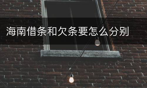 海南借条和欠条要怎么分别
