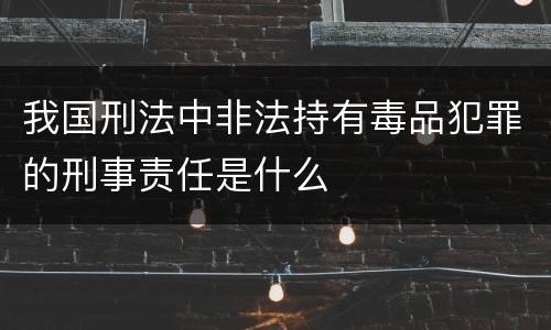 我国刑法中非法持有毒品犯罪的刑事责任是什么