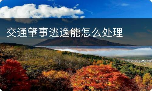 交通肇事逃逸能怎么处理
