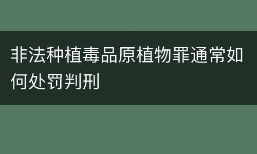 非法种植毒品原植物罪通常如何处罚判刑