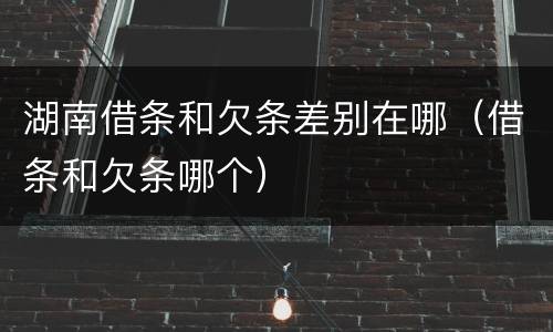 湖南借条和欠条差别在哪（借条和欠条哪个）