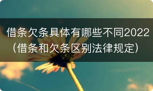 借条欠条具体有哪些不同2022（借条和欠条区别法律规定）