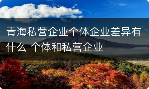 青海私营企业个体企业差异有什么 个体和私营企业