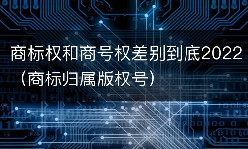 商标权和商号权差别到底2022（商标归属版权号）