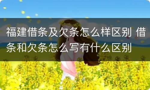 福建借条及欠条怎么样区别 借条和欠条怎么写有什么区别