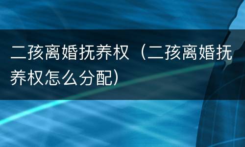 二孩离婚抚养权（二孩离婚抚养权怎么分配）