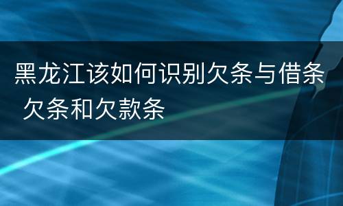 黑龙江该如何识别欠条与借条 欠条和欠款条