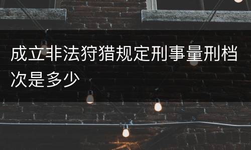 成立非法狩猎规定刑事量刑档次是多少