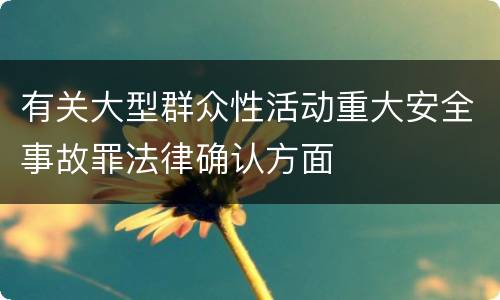 有关大型群众性活动重大安全事故罪法律确认方面