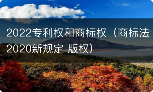 2022专利权和商标权（商标法2020新规定 版权）