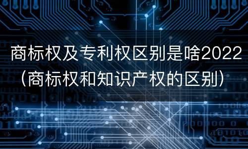 商标权及专利权区别是啥2022（商标权和知识产权的区别）