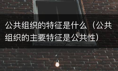 公共组织的特征是什么（公共组织的主要特征是公共性）