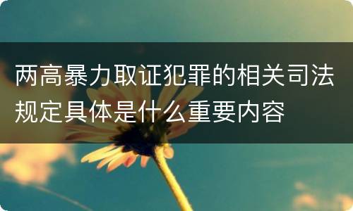 两高暴力取证犯罪的相关司法规定具体是什么重要内容