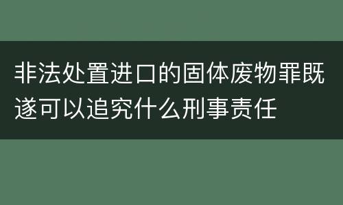 非法处置进口的固体废物罪既遂可以追究什么刑事责任