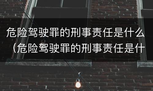 危险驾驶罪的刑事责任是什么（危险驾驶罪的刑事责任是什么）