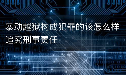 暴动越狱构成犯罪的该怎么样追究刑事责任