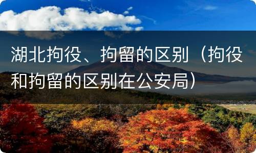 湖北拘役、拘留的区别（拘役和拘留的区别在公安局）