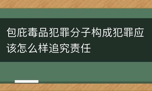 包庇毒品犯罪分子构成犯罪应该怎么样追究责任