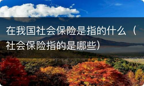 在我国社会保险是指的什么（社会保险指的是哪些）
