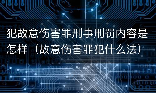 犯故意伤害罪刑事刑罚内容是怎样（故意伤害罪犯什么法）