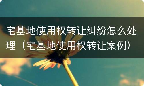宅基地使用权转让纠纷怎么处理（宅基地使用权转让案例）
