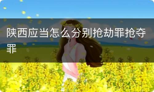 陕西应当怎么分别抢劫罪抢夺罪