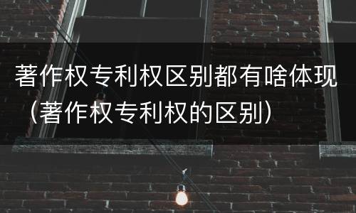 著作权专利权区别都有啥体现（著作权专利权的区别）