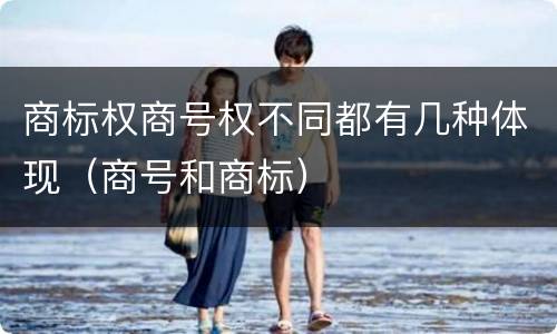 商标权商号权不同都有几种体现（商号和商标）