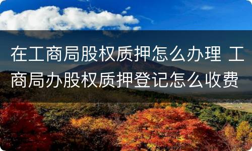 在工商局股权质押怎么办理 工商局办股权质押登记怎么收费