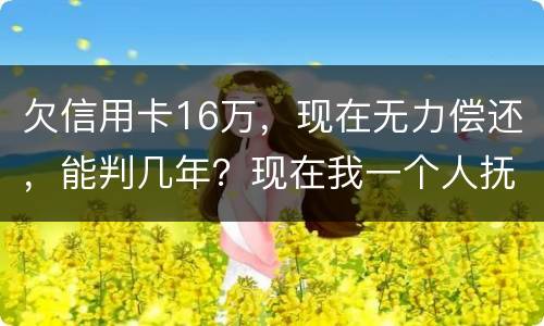 欠信用卡16万，现在无力偿还，能判几年？现在我一个人抚养孩子，判刑后孩子怎么办