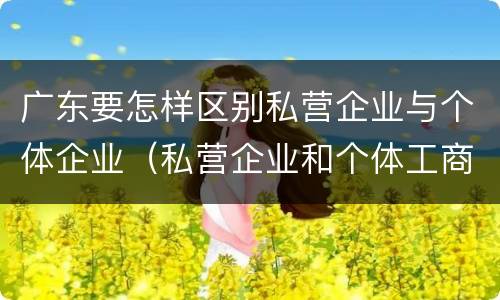 广东要怎样区别私营企业与个体企业（私营企业和个体工商户的区别哪些?）