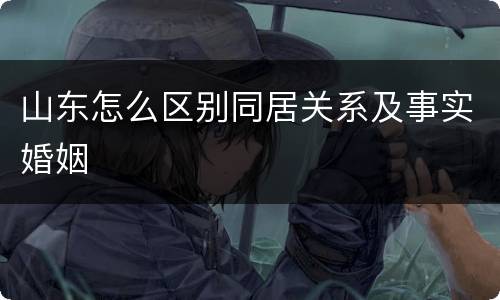 山东怎么区别同居关系及事实婚姻