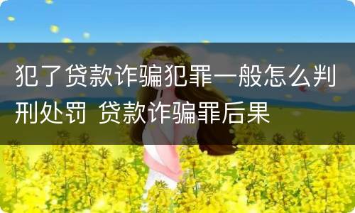 犯了贷款诈骗犯罪一般怎么判刑处罚 贷款诈骗罪后果