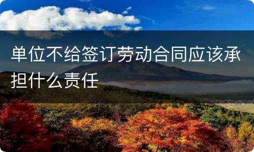 单位不给签订劳动合同应该承担什么责任