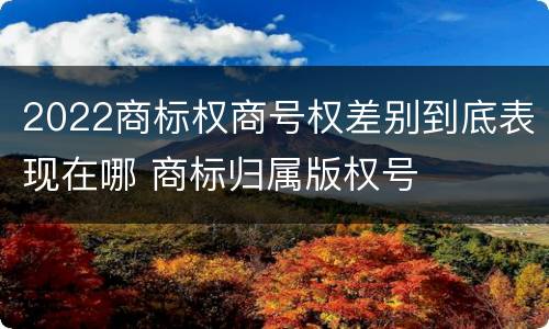 2022商标权商号权差别到底表现在哪 商标归属版权号
