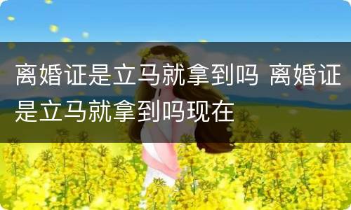 离婚证是立马就拿到吗 离婚证是立马就拿到吗现在