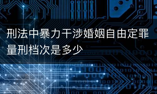 刑法中暴力干涉婚姻自由定罪量刑档次是多少