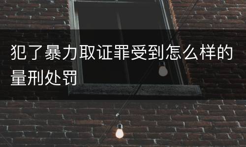 犯了暴力取证罪受到怎么样的量刑处罚