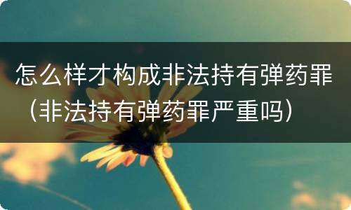 怎么样才构成非法持有弹药罪（非法持有弹药罪严重吗）