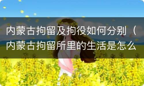 内蒙古拘留及拘役如何分别（内蒙古拘留所里的生活是怎么样的）